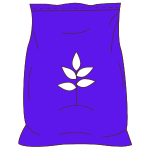 Black Raspberry - Feminised