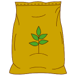 Durban Poison - Regular