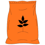 Cherry Lime - Feminised