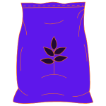 West Coast Purple - Regular