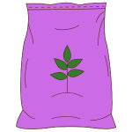 Sour Diesel - Feminised